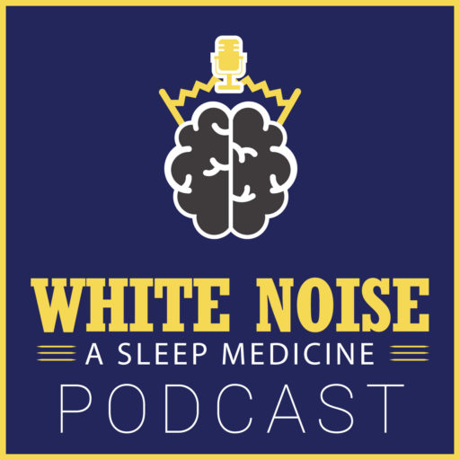 The White Noise Podcast Logo